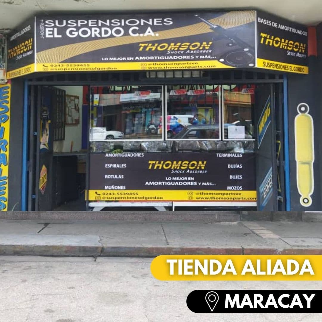 Thomson marketing 33